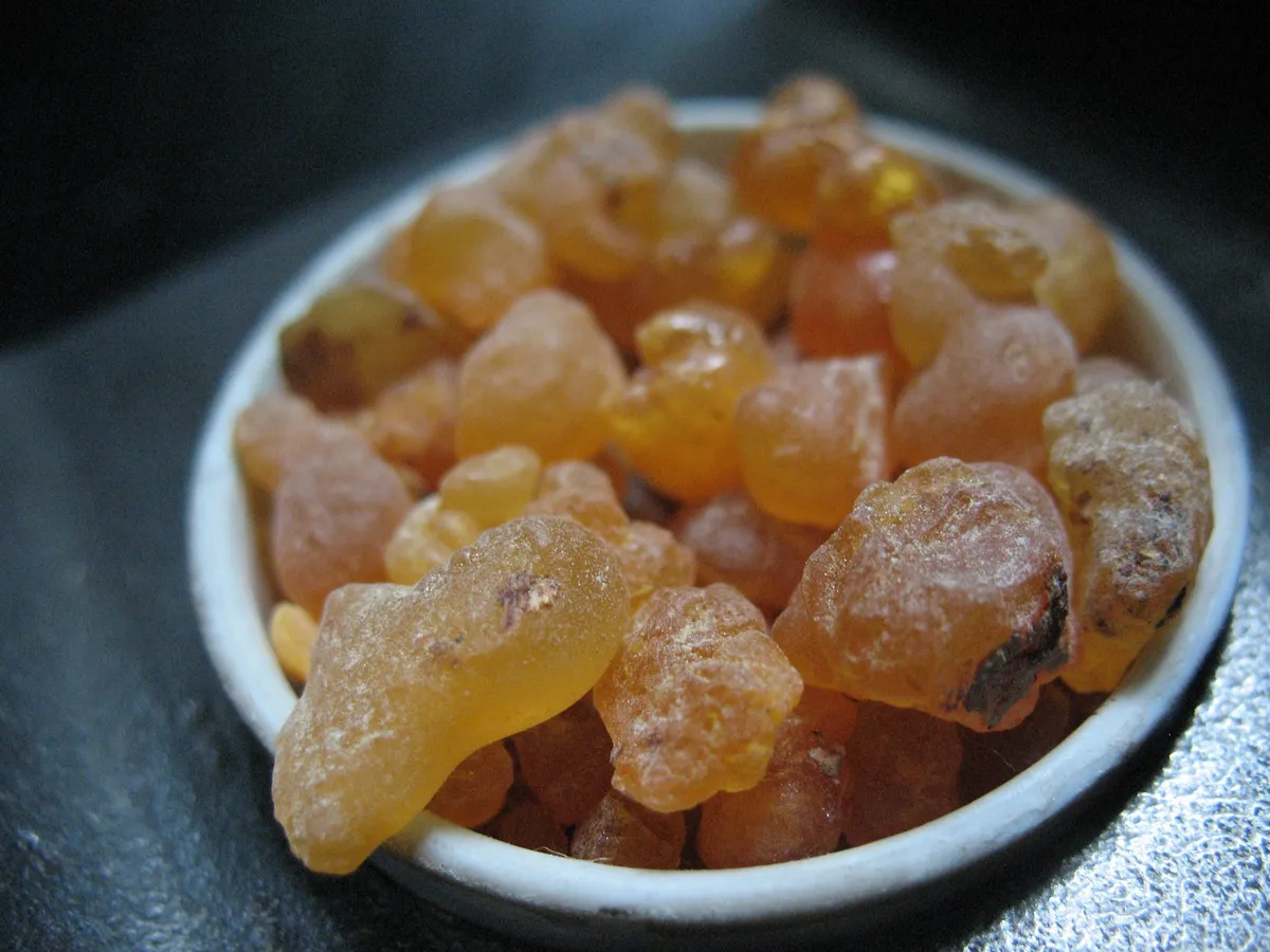 Kasede akgünlük (boswellia) reçinesi parçaları